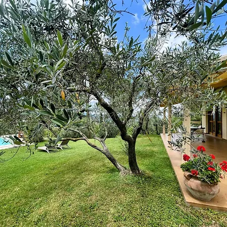 Stylish Near Bevagna And Montefalco With Sensational Views And Sleeps 14 Belvedere (Perugia)