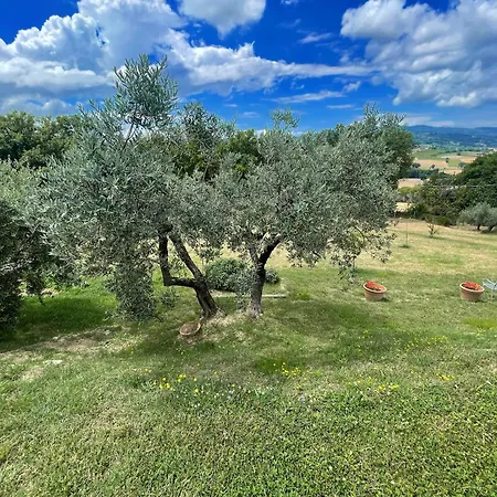 Stylish Near Bevagna And Montefalco With Sensational Views And Sleeps 14 * Belvedere (Perugia)